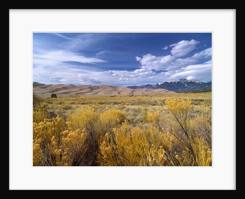 Great Sand Dunes National Monument by Anonymous