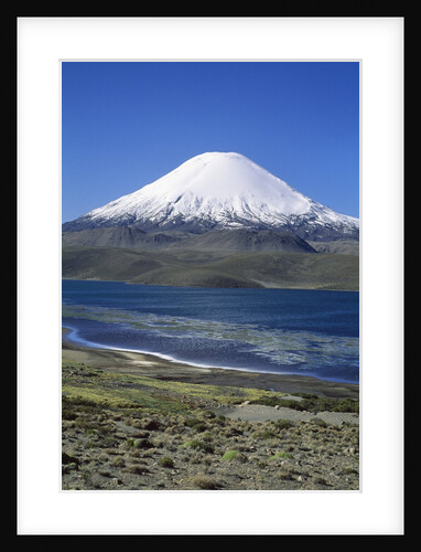 Lauca National Park by Anonymous