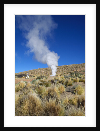 Atacama Desert by Anonymous