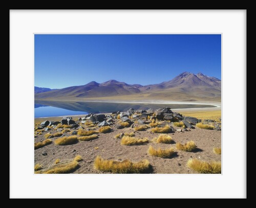 Atacama Desert by Anonymous