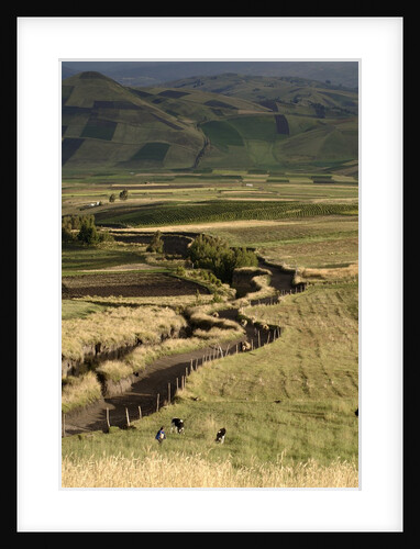 Track on Chimborazo Volcano by Anonymous