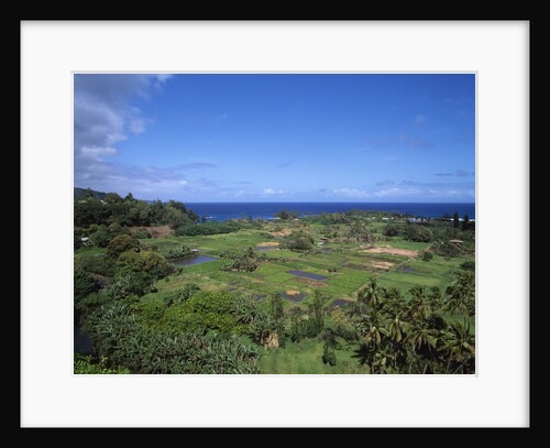 Ke'Anae in Hawaii by Anonymous