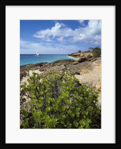 Coupecoy beach by Anonymous