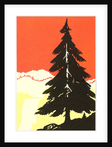 Lone Pine Silhouette by Anonymous