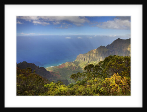 Canyon in Hawaii by Anonymous