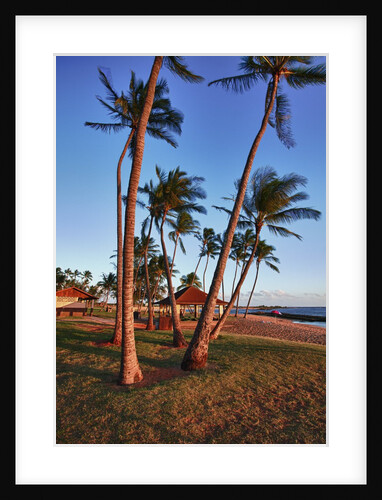Evening Light on the Westside of Kauai by Anonymous