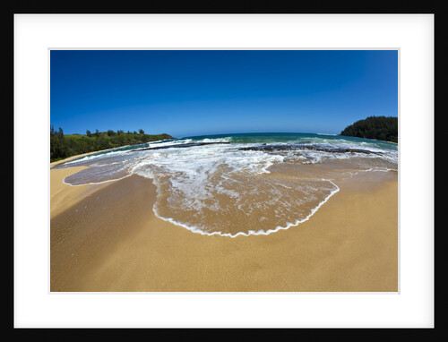 Pristine sand Beaches of Kauai Hawaii by Anonymous