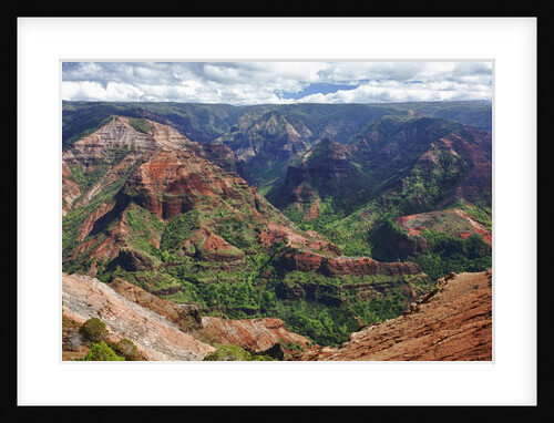 Waimea Canyon by Anonymous