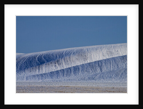Patterns in snow covered wheat fields by Anonymous
