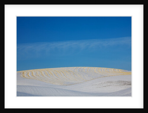 Patterns in snow covered wheat fields by Anonymous
