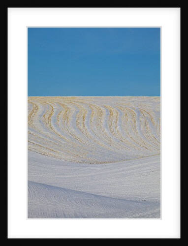 Patterns in snow covered wheat fields by Anonymous