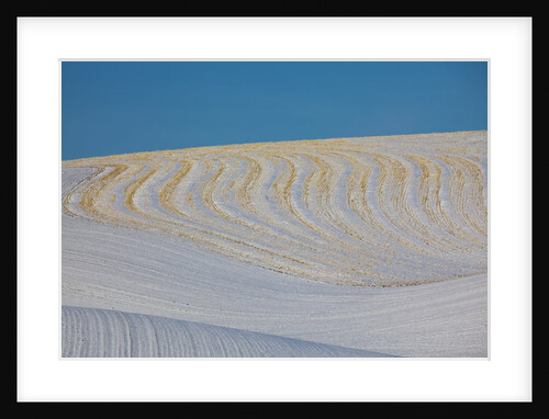 Patterns in snow covered wheat fields by Anonymous
