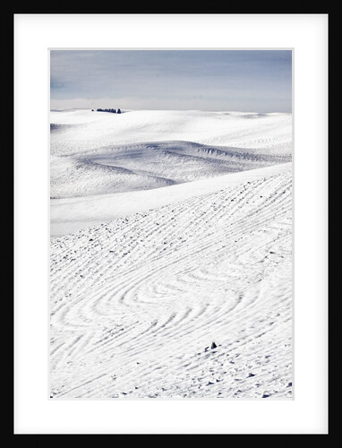 Patterns in snow covered wheat fields by Anonymous