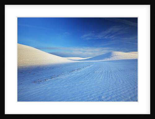 Patterns in snow covered wheat fields by Anonymous