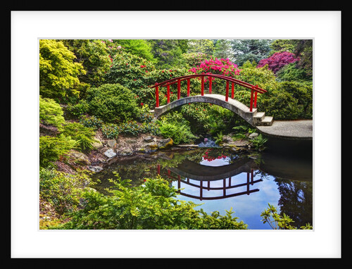 Kabota Gardens in Seattle by Anonymous