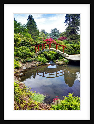 Kabota Gardens in Seattle by Anonymous