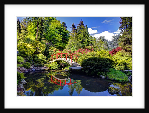 Kabota Gardens in Seattle by Anonymous