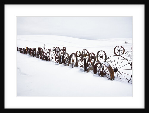 Fence made of old iron wheels on snow by Anonymous