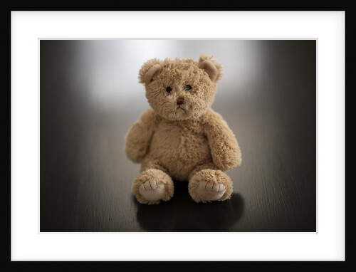 Studio shot of teddy bear by Anonymous