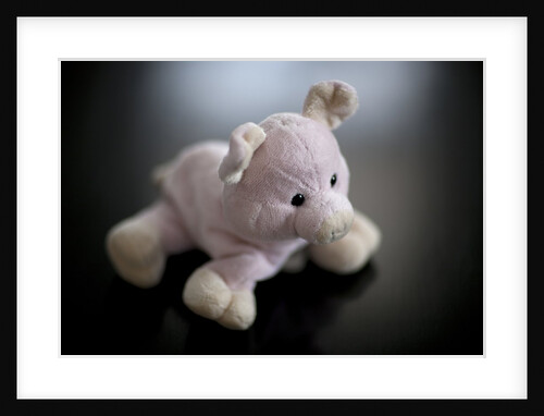 Studio shot of stuffed pig toy by Anonymous