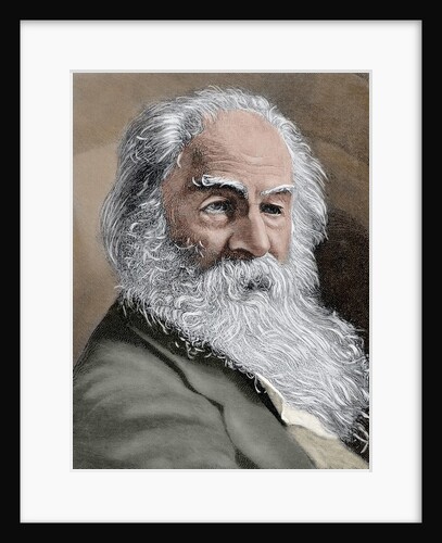 Walt Whitman (1819-1892). American poet., essayist and journalist by Anonymous