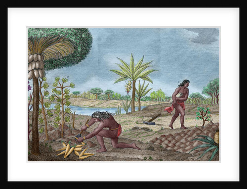 Yanomamo Indians of South America by Anonymous