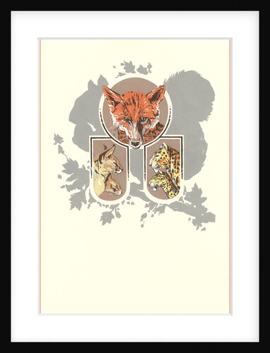 Fox, Lynx, Cougar and Squirrel Graphic by Anonymous