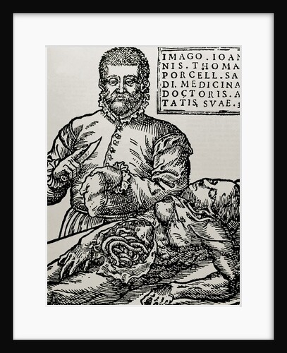 John Thomas Porcell (XVI century) by Anonymous