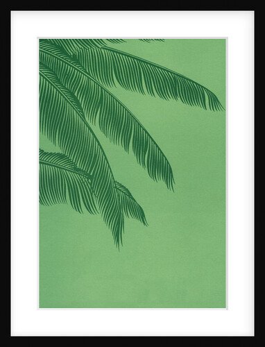 Palm fronds by Anonymous
