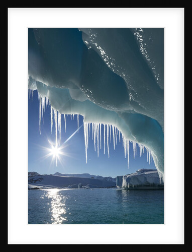 Iceberg in Lemaire Channel, Antarctica by Anonymous