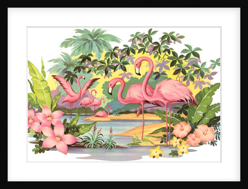 Flamingos in the Tropics by Anonymous