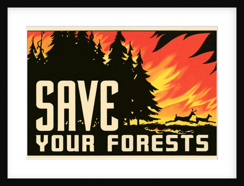Save Your Forests Poster by Anonymous