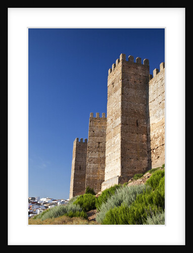 Burgalimar Castle in Andalusia, Spain by Anonymous