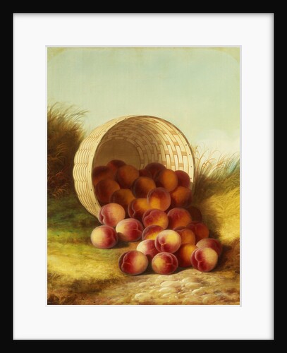 Peaches in a Basket by Carducius Plantagenet Ream