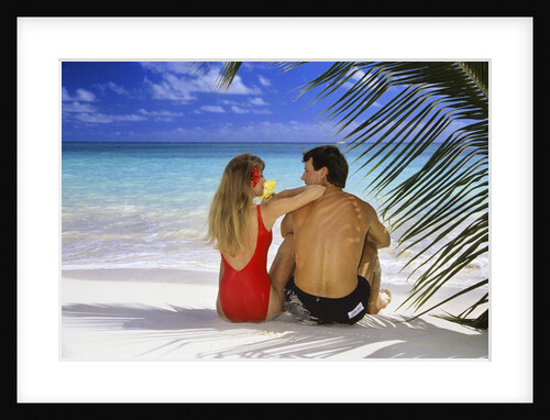 Couple On Tropical Beach With Palm Frond Ocean And Sky by Anonymous