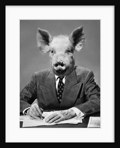 1950s 1960s 1970s Pigheaded businessman in a suit sitting at a desk by Anonymous