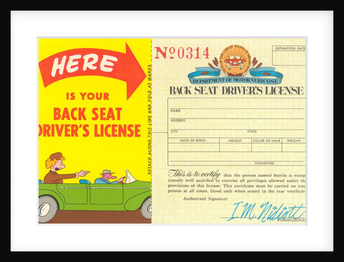 Back Seat Driver's License by Anonymous