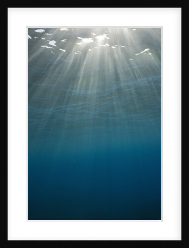 Sunbeams filtering through the ocean surface by Anonymous