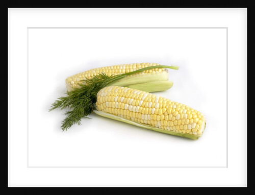 Corn on the cobb with dill by Anonymous