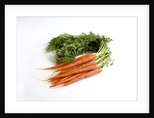 Carrots by Anonymous