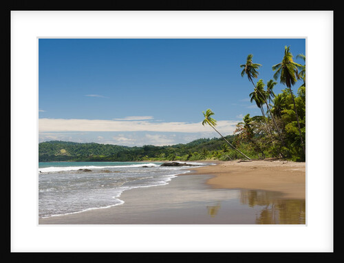 Osa peninsula, Costa Rica. by Anonymous