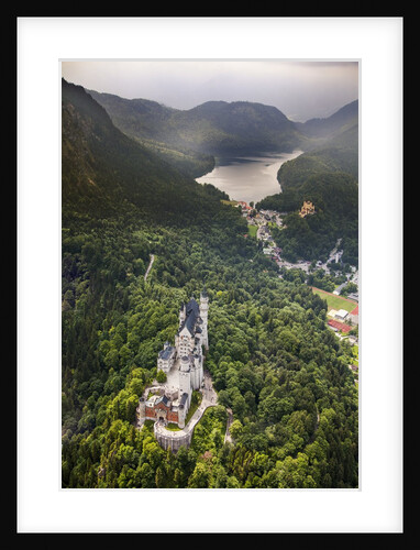 Aerial view of the great castle Neuschwanstein by Anonymous