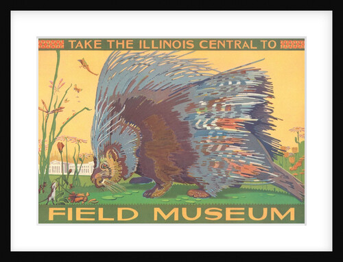 Poster for Field Museum with Porcupine by Anonymous