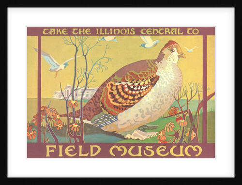 Poster for Field Museum with Quail by Anonymous