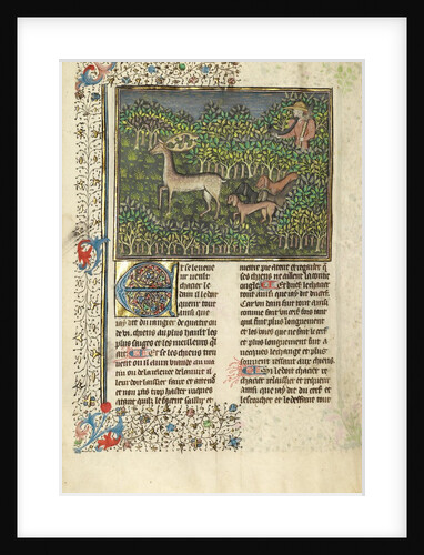 A Hunter and Dogs Pursuing a Fallow Deer by Anonymous
