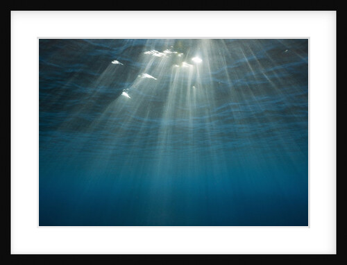 Sunbeams filtering through the ocean surface by Anonymous