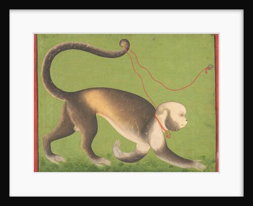 A Monumental Portrait of a Monkey attributed to the Stipple Master by Anonymous