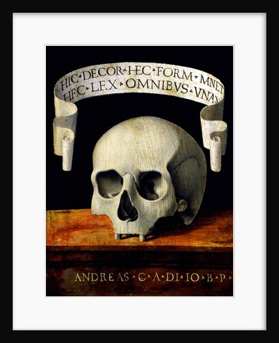 Skull of a Man - Memento Mori by Andrea Previtali