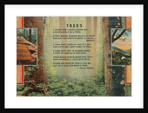Joyce Kilmer Trees Poem, Forest by Anonymous