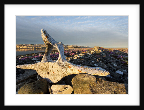 Whalers' Graves, Deadman Island, Nunavut, Canada by Anonymous